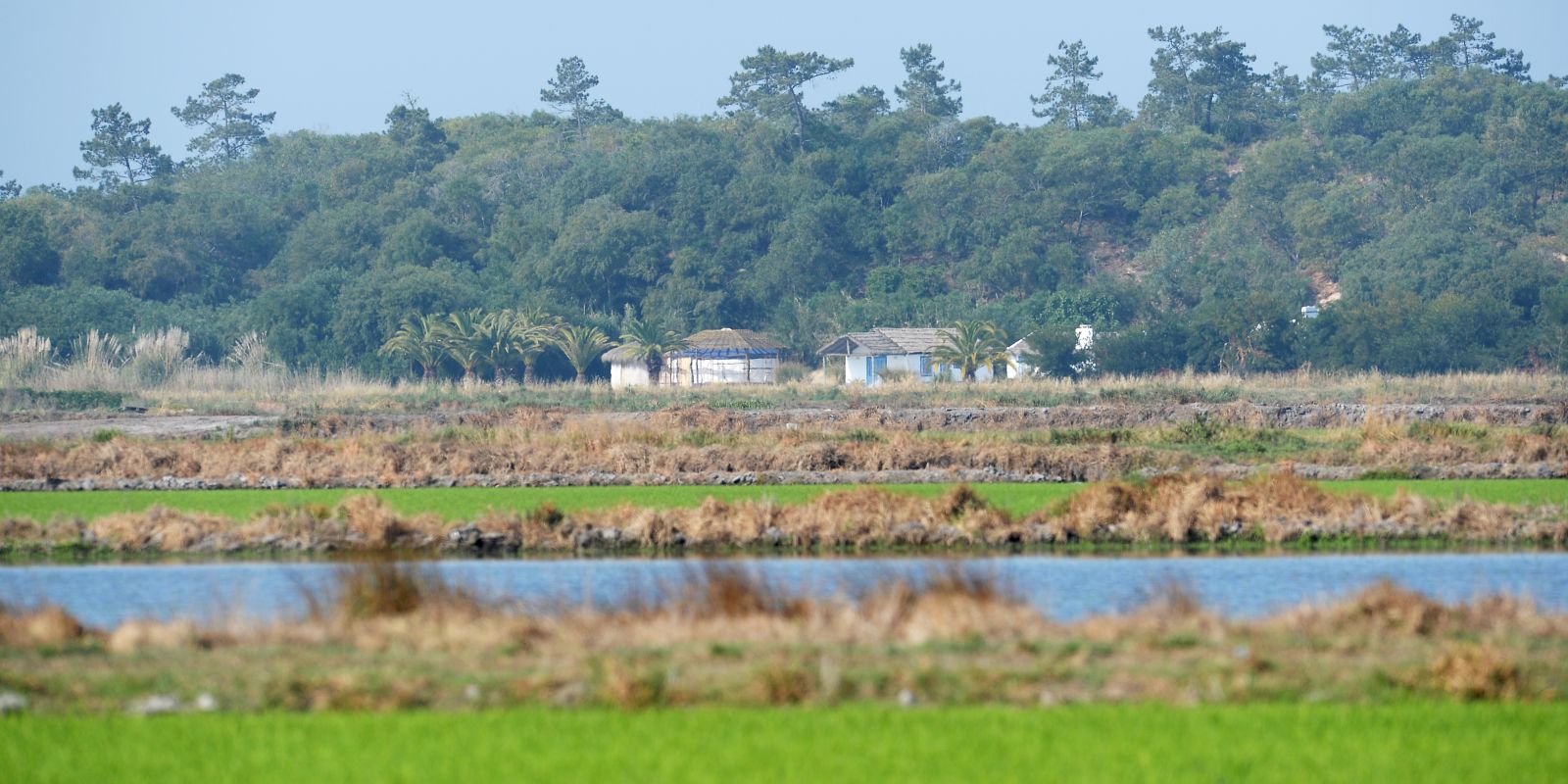 Brejos da Carregueira de Baixo Through the Rice Paddy Into a Vernacular Home Behind the Dunes