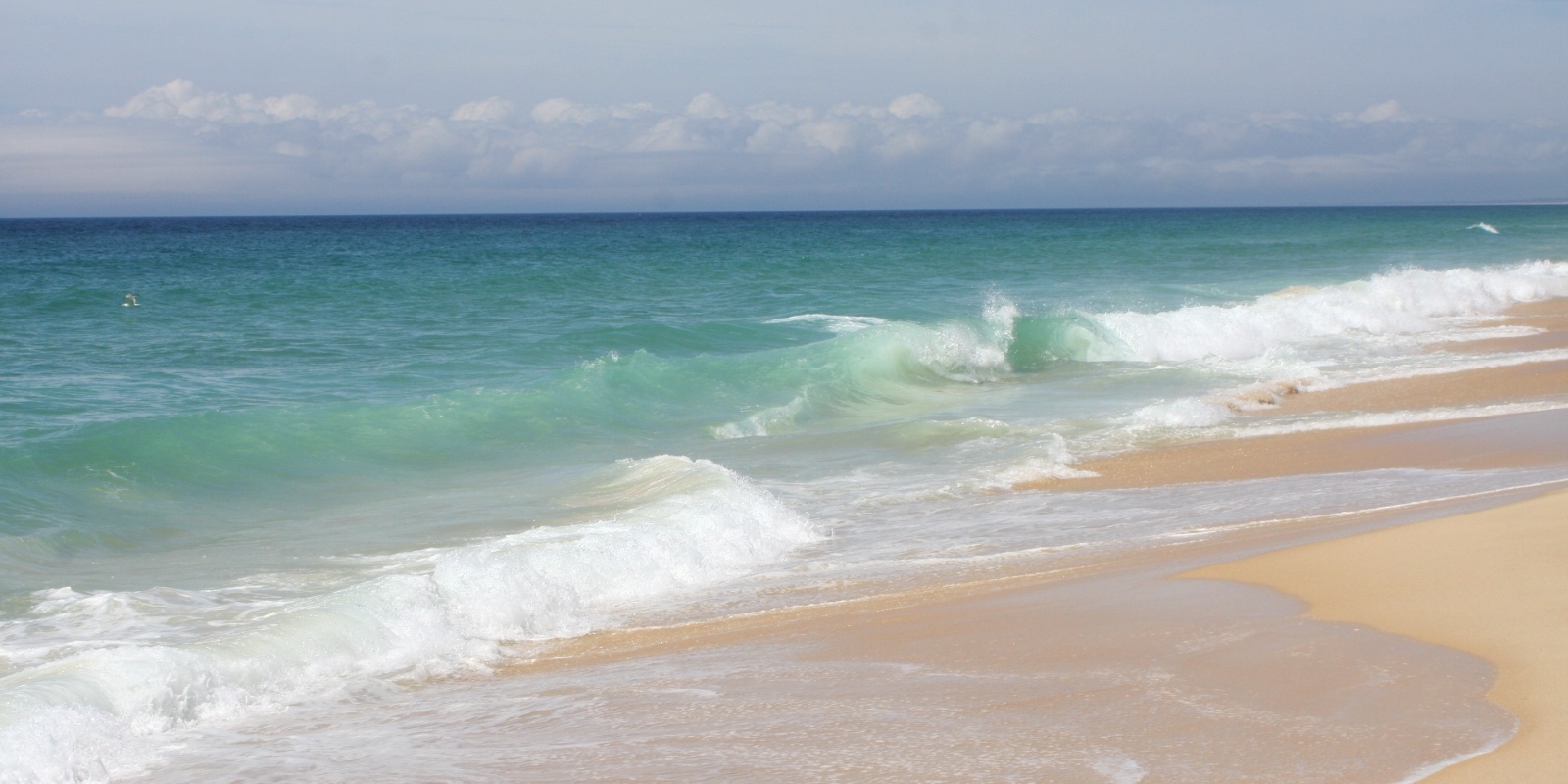 Carvalhal - Beautiful view onto the Atlantic Ocean from the beach