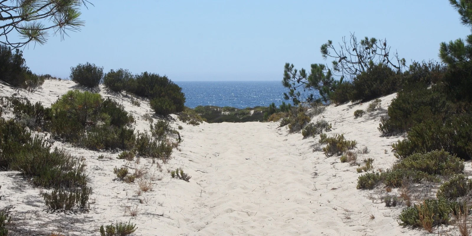 Walking from JNcQUOI Beach House to Pego Coast in Comporta Alentejo